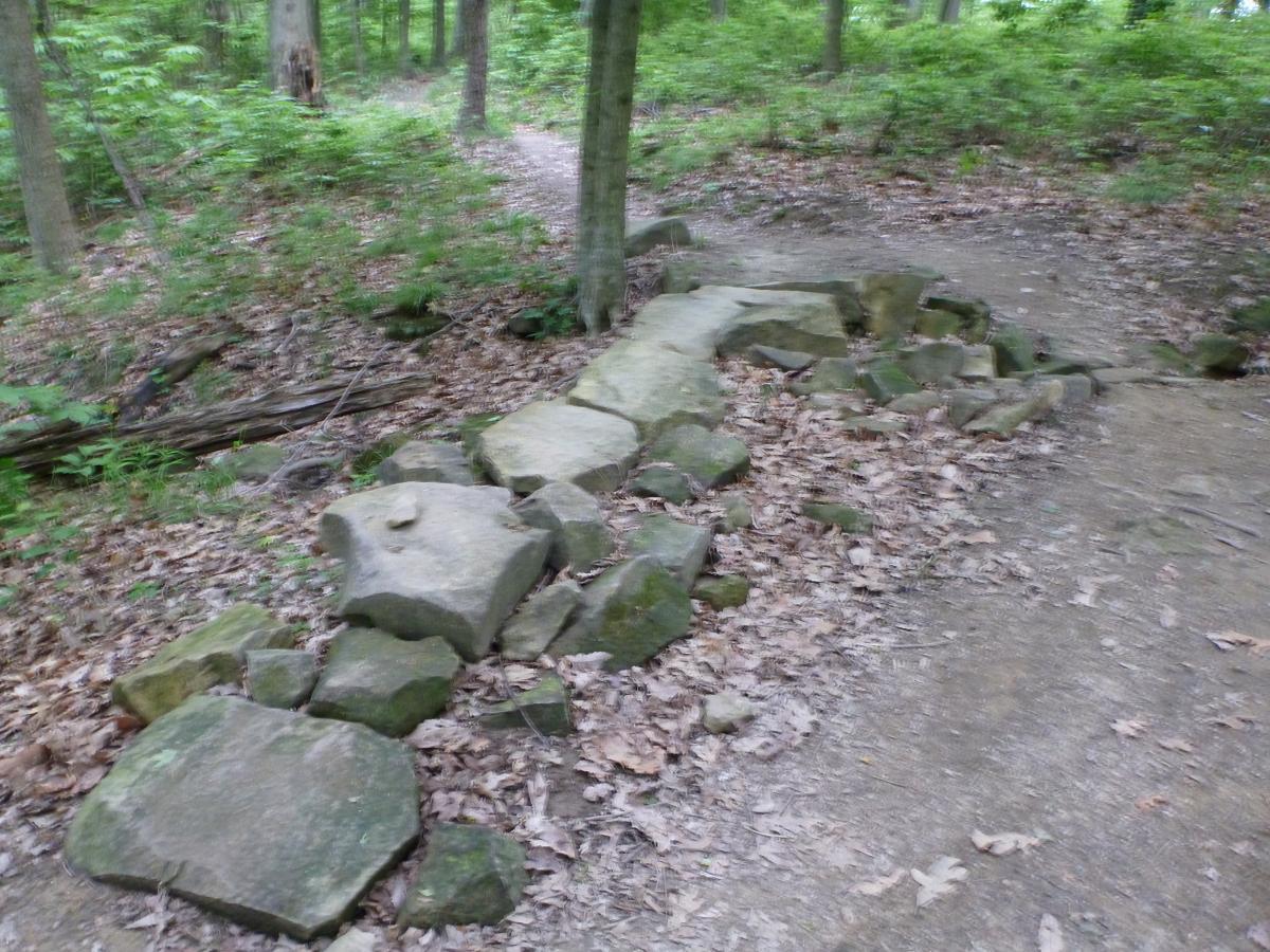 A rocky path in a wooded area, featuring large stones arranged along the trail, surrounded by green foliage and leaf litter. The scene captures a natural outdoor setting with a winding dirt path visible in the background. Brown County Park mountain bike trail.