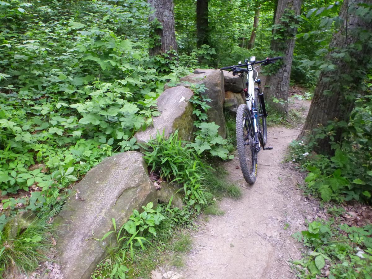 A mountain bike is leaning against a large rock on a narrow dirt trail surrounded by dense green foliage and trees in a forested area. Brown County Park mountain bike trail.