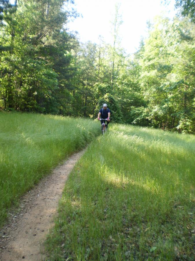 A cyclist riding a mountain bike on a narrow dirt trail surrounded by tall green grass and trees in a sunny forest setting. Dauset Trails Nature Center mountain bike trail.