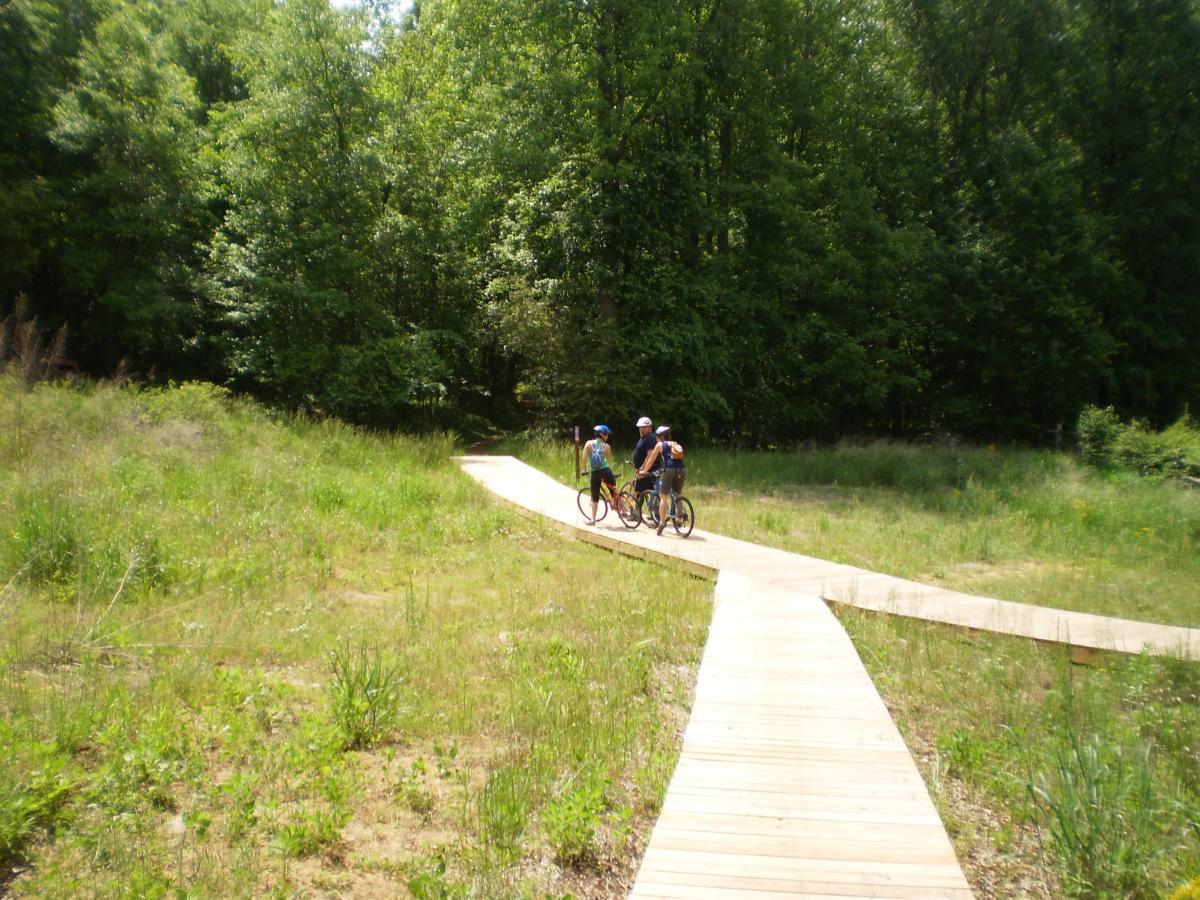 Three cyclists stopped on a wooden biking path winding through a grassy area surrounded by dense trees. The scene captures a sunny day with lush greenery. Harbins Park mountain bike trail.
