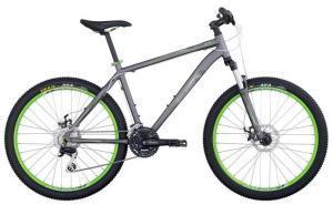 Raleigh Talus 5.0: Mountain bike with a gray frame and green accents, featuring wide tires and disc brakes. The bike is designed for off-road riding and has a sturdy construction.