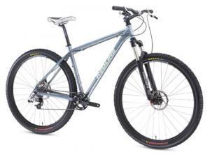 Redline D660 29er: A blue mountain bike with a lightweight frame, front suspension, and thick, knobby tires, positioned upright against a neutral background.