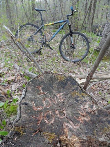 Redline Monocog 29er: A mountain bike resting on the forest floor, with a close-up view of a tree stump in the foreground that is carved with the words "I LOVE YOU ALINE." The surrounding area features lush greenery and fallen leaves, indicating a natural outdoor setting.