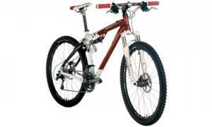 Rocky Mountain Element Team: A red and silver mountain bike with thick tires, a dual suspension system, and handlebars equipped with grips and brake levers.