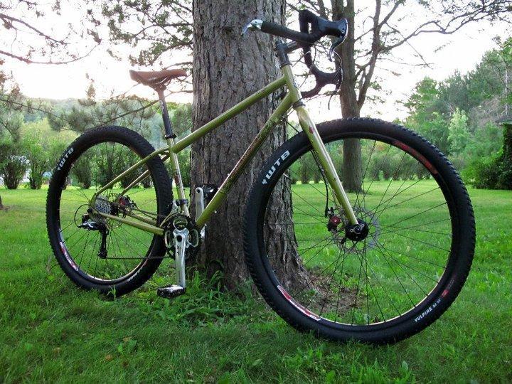 Salsa Fargo: A mountain bike parked against a tree in a grassy field, featuring a gold frame, black tires, and a comfortable saddle. The background includes lush greenery and a peaceful outdoor setting during sunset.
