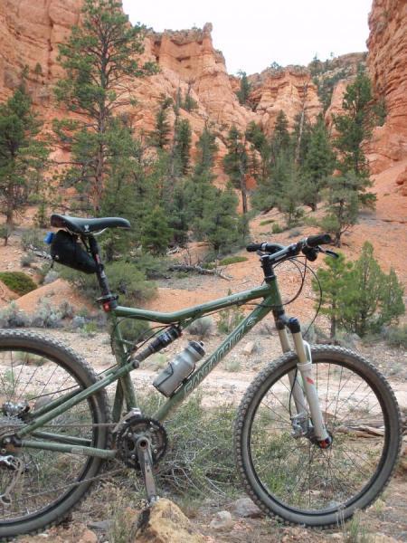 Santa Cruz Blur: A mountain bike parked on a rocky path with a backdrop of towering reddish cliffs and green pine trees. The bike features a water bottle mounted on the frame and is surrounded by natural vegetation.