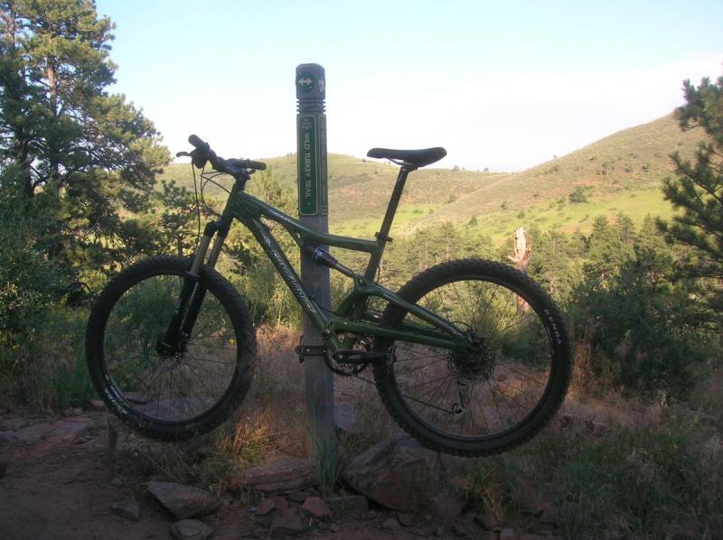 Santa Cruz Heckler: A mountain bike resting against a trail marker in a scenic outdoor setting, surrounded by green hills and trees under a clear sky.