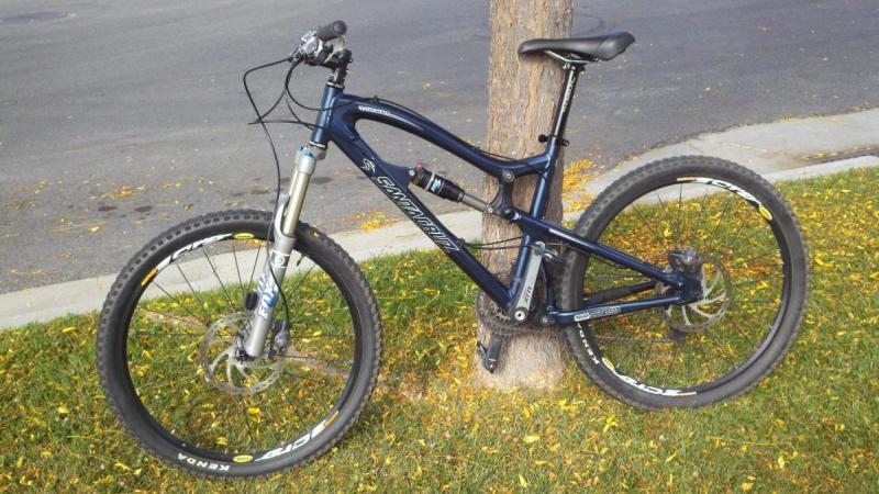 Santa Cruz Nomad: A mountain bike leaning against a tree on a grassy area, featuring a dark blue frame, front suspension, and knobby tires. Hintergrund includes a paved street and scattered yellow leaves.