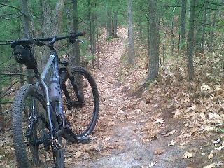 Schwalbe Racing Ralph: A mountain bike parked next to a winding dirt trail surrounded by trees, with autumn leaves scattered along the path.