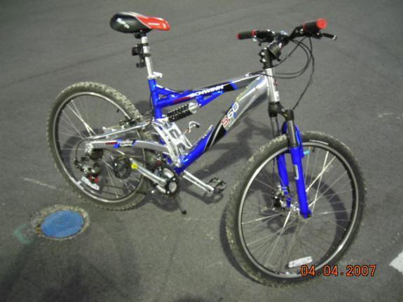schwinn s 60 dsx