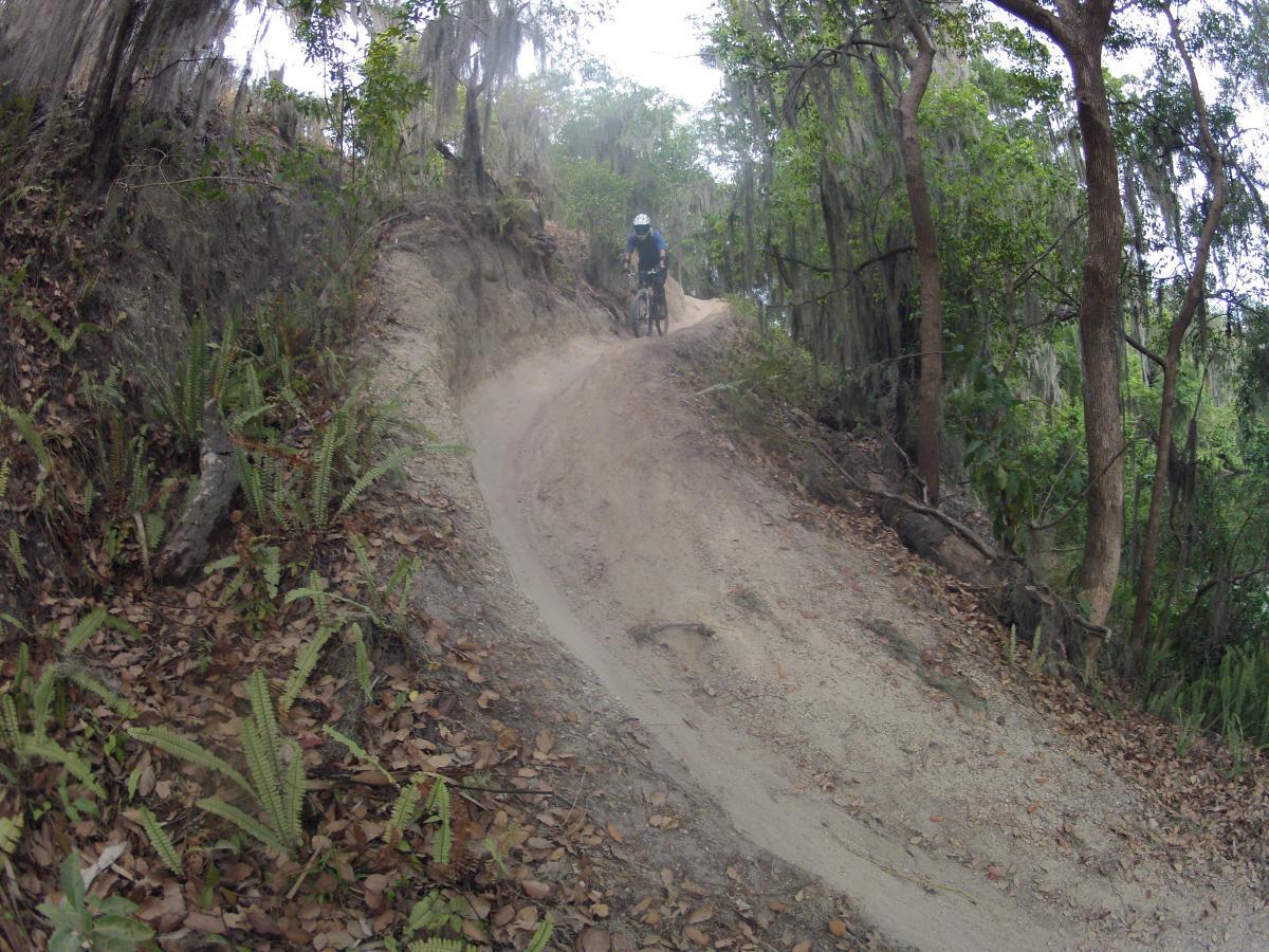 A cyclist riding along a sandy trail surrounded by lush greenery and trees. The path is winding and slightly downhill, with ferns and fallen leaves visible on the ground. Loyce E. Harpe Park mountain bike trail.