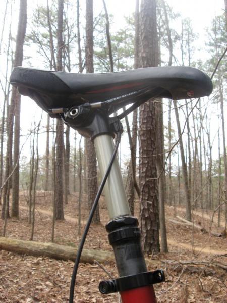 Specialized Enduro Expert: Close-up view of a mountain bike seat and seat post in a forested area, surrounded by tall trees and fallen leaves.