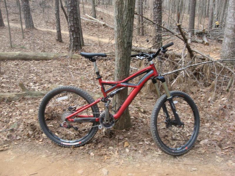 Specialized Enduro Expert: Mountain bike leaning against a tree on a dirt trail surrounded by fallen leaves and trees in a forested area.