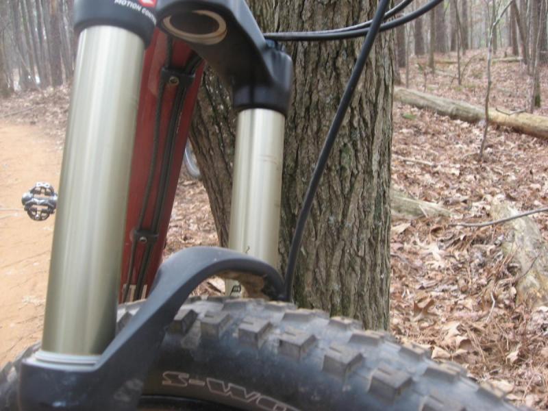 Specialized Enduro Expert: Close-up of a mountain bike's front suspension fork and tire resting against a tree trunk, with a dirt trail and forest background featuring fallen leaves.