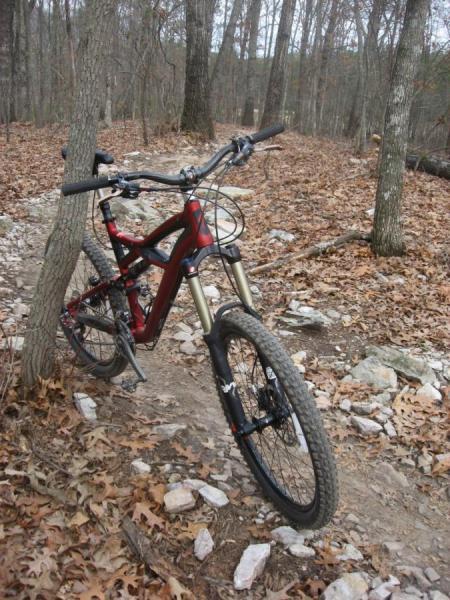 Specialized Enduro Expert: A mountain bike leaning against a tree on a rocky trail, surrounded by fallen leaves and tall trees in a wooded area.