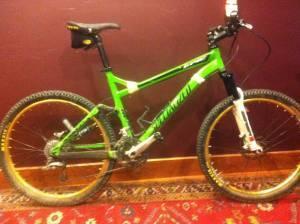 Specialized Epic Comp: A green mountain bike is positioned on a patterned rug, with a dark maroon wall in the background. The bike features thick tires, a front suspension fork, and various components typical of a mountain bike.