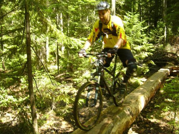 Specialized Epic: A mountain biker skillfully rides along a fallen log in a dense forest, surrounded by tall trees and lush greenery. The cyclist is wearing a helmet and a yellow jersey with red and black accents, showcasing a focused expression as they navigate the challenging terrain.