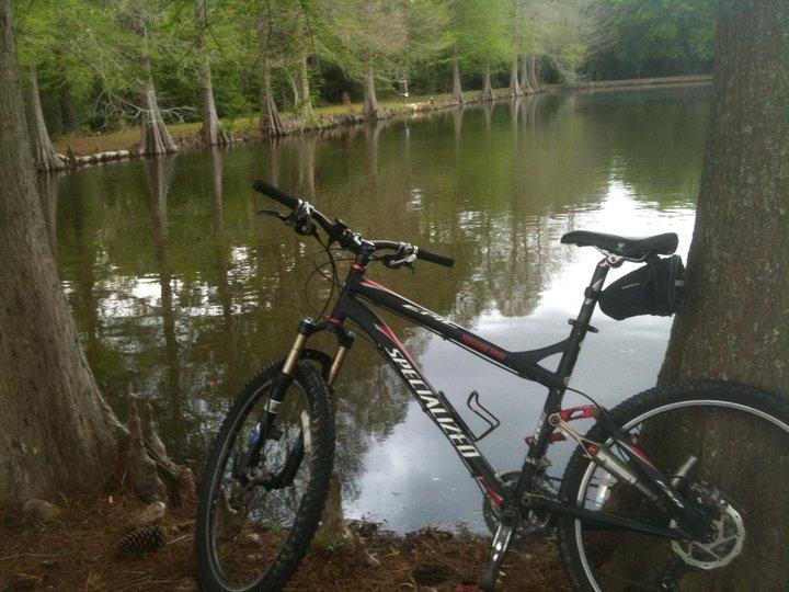 Specialized Epic: A mountain bike resting against a tree near a calm lake surrounded by lush greenery. The water reflects the trees and the bike, creating a tranquil outdoor scene.