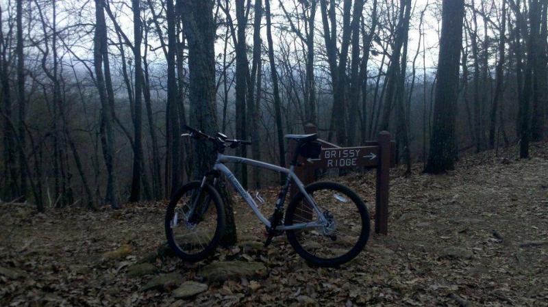 Specialized Hardrock Disc: A mountain bike leaning against a sign for Brissy Ridge, surrounded by barren trees and a forest floor covered in leaves, with a hazy landscape visible in the background.