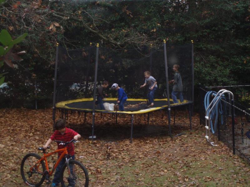 Specialized Hardrock Sport Disc: A group of children playing on a trampoline surrounded by fallen leaves, with one child riding a bicycle in the foreground. The trampoline is enclosed by a net, providing a safe space for jumping and activity.