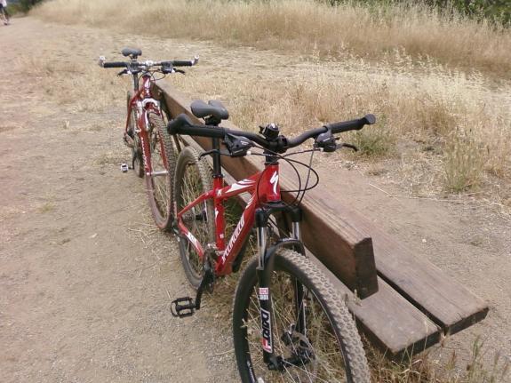 Specialized Rockhopper Disc: Two red mountain bikes are parked next to a wooden bench along a dirt path, surrounded by tall grass. The scene depicts a serene outdoor setting ideal for biking.