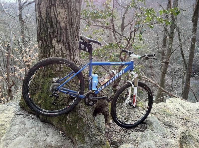Specialized Rockhopper: A blue mountain bike leaning against a tree in a wooded area, with bare trees and rocky terrain in the background. The bike features knobby tires and a water bottle attached to the frame.