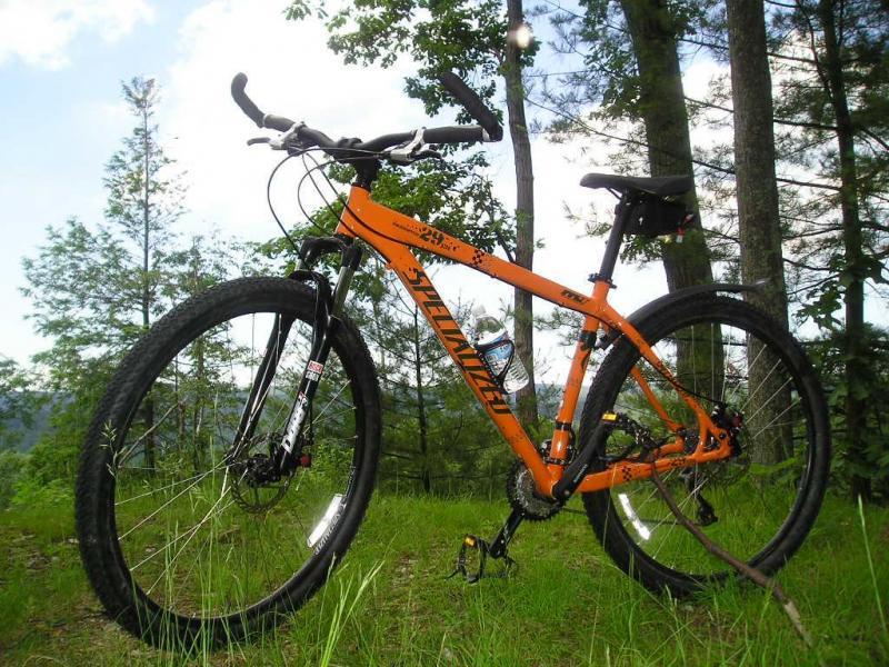 Specialized Rockhopper: An orange mountain bike with a black frame, parked on grass amidst trees. The bike features thick tires and a water bottle holder, set against a backdrop of green foliage and a clear blue sky.