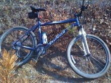 Specialized Rockhopper: A blue mountain bike with a water bottle attached, resting on a gravel path surrounded by dry grass and shrubs.