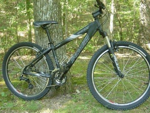 Specialized Rockhopper: A black Specialized mountain bike leaning against a tree in a forested area. The bike features thick tires, a front suspension fork, and a prominent brand logo on the frame. The surrounding environment has green foliage and a natural, wooded backdrop.