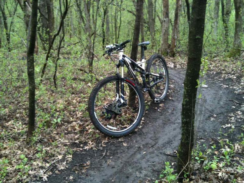 Specialized Stumpjumper FSR Comp 29: A mountain bike resting on a muddy trail surrounded by green foliage and trees in a forested area.