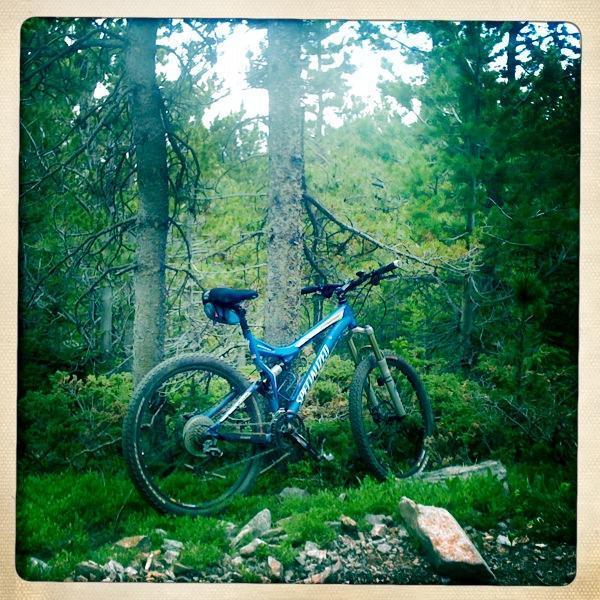 Specialized Stumpjumper FSR: A blue mountain bike leaning against a tree in a forested area, surrounded by greenery and rocks.