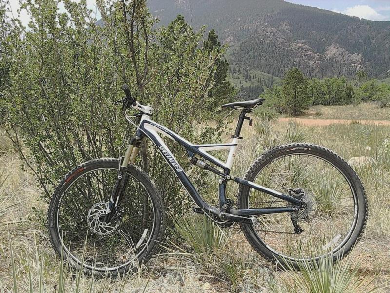 Specialized Stumpjumper: A mountain bike resting beside a bush, set against a backdrop of rolling hills and mountains under a partly cloudy sky.