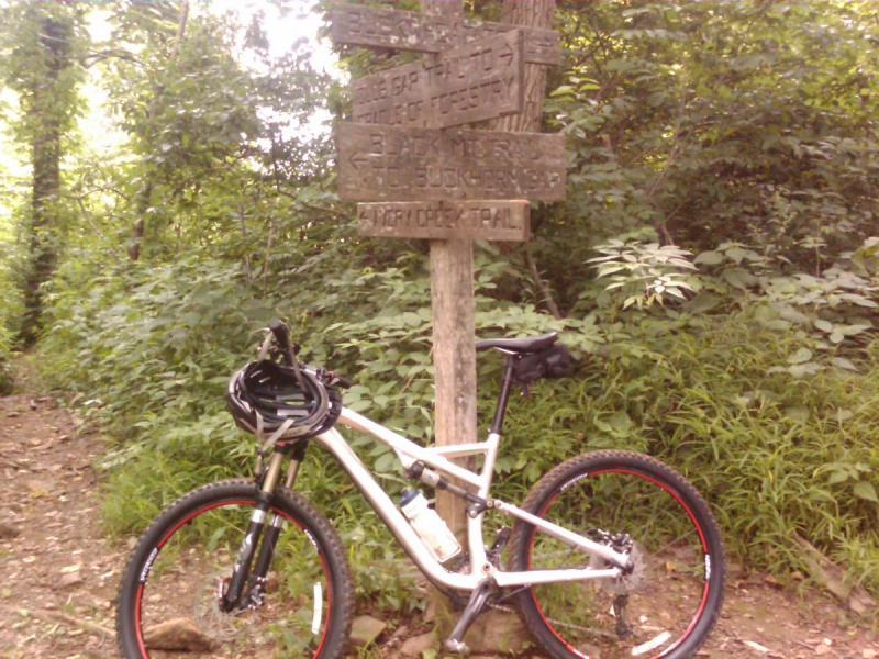 Specialized Stumpjumper: A white mountain bike with red accents is parked next to a wooden trail sign in a lush green forest. The sign indicates multiple hiking and biking routes, including directions for the "Harper Creek Trail." The surrounding area is dense with foliage, creating a serene outdoor atmosphere.