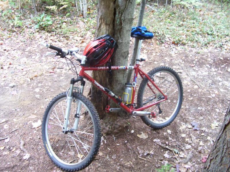 Specialized Stumpjumper: A red mountain bike leaning against a tree, with a black helmet resting on the handlebars. A blue backpack is positioned on top of the bike, and a water bottle is attached to the frame. The surrounding area features a dirt trail and scattered foliage.