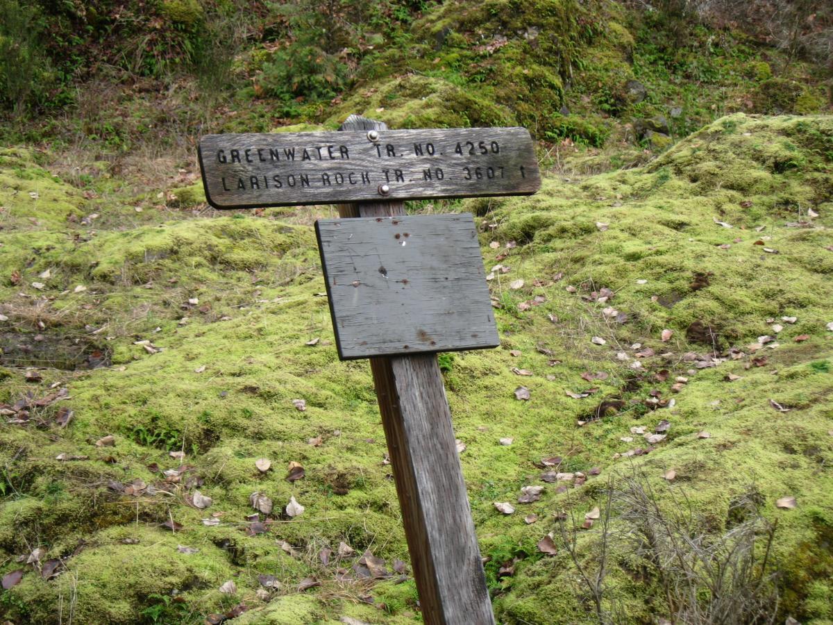 A wooden trail sign in a natural setting, displaying the names "Greenwater Tr. No 4250" and "Larison Rock Tr. No 3607." The sign is partially obscured by a blank area, surrounded by green moss and scattered leaves on the ground. Larison Rock mountain bike trail.