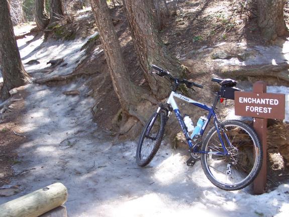 Trek 3700: A mountain bike parked next to a wooden sign that reads "Enchanted Forest," surrounded by a snowy trail and tall trees in a forested area.