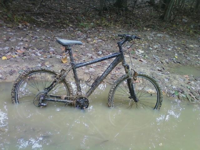 Trek 4300: A muddy bicycle partially submerged in a puddle on a forest trail, surrounded by fallen leaves and trees.