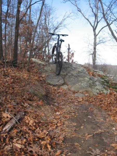 Trek 4300: A mountain bike resting on a large rock by a dirt trail surrounded by trees and fallen leaves in a wooded area. The scene captures a serene outdoor environment with a clear blue sky.