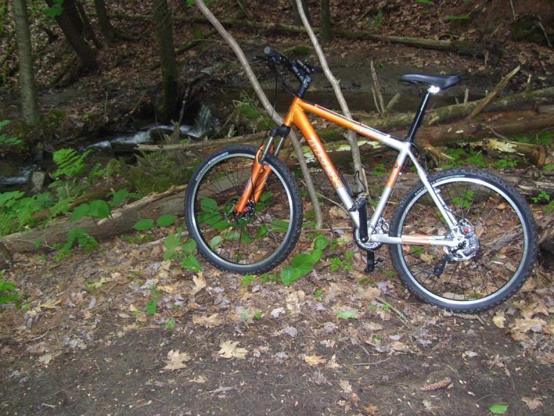 Trek 4300: Mountain bike leaning against a tree in a wooded area, with a small stream and fallen leaves in the background. The bike features an orange and silver frame, knobby tires, and a comfortable saddle, surrounded by lush greenery.