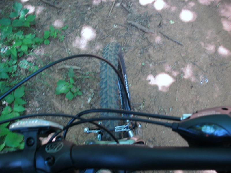 Trek 4300: A top-down view of a mountain bike's handlebars and front wheel on a dirt trail, surrounded by greenery. The terrain is uneven, with patches of sunlight filtering through the trees.