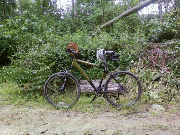 Trek 4500: A mountain bike parked beside a fallen log in a lush, green forested area, with dense foliage in the background. A helmet is placed on the bike's seat.