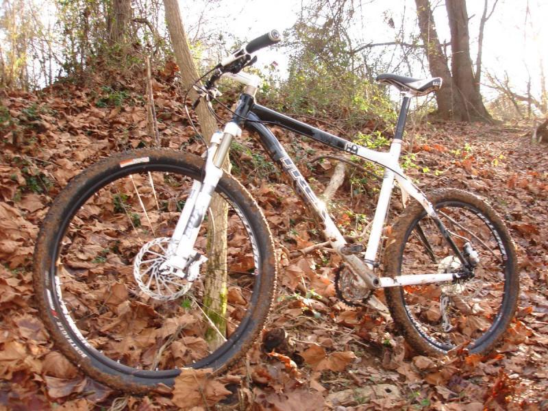 Trek 69er: A mountain bike resting on a bed of fallen leaves in a wooded area, with trees and greenery in the background. The bike features a black and white frame, thick tires, and visible suspension components, suggesting it is designed for off-road use.