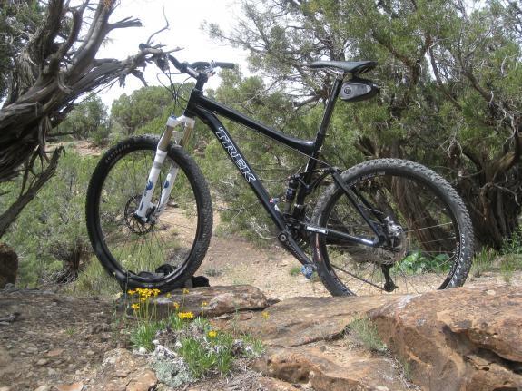 Trek 69er: A black mountain bike resting against a rock in a natural outdoor setting, surrounded by green shrubs and small yellow flowers.