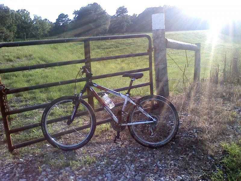 Trek 820: A mountain bike resting against a metal gate on a gravel path, with a lush green field and trees in the background illuminated by sunlight.