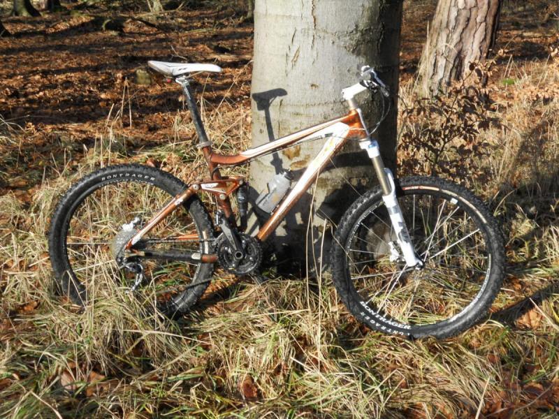 Trek Fuel EX 8: A mountain bike parked against a tree in a forested area, surrounded by fallen leaves and grass. The bike features a brown and white frame, thick tires, and a front suspension fork, emphasizing its design for off-road terrain. Sunlight illuminates the scene, highlighting the natural setting.