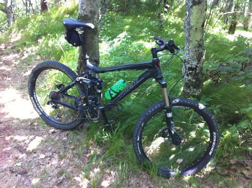 Trek Fuel EX 8: A mountain bike parked between trees in a lush, green forest setting. The bike features thick tires and is positioned on a dirt path surrounded by foliage.