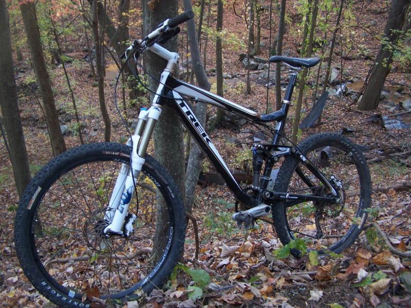 Trek Fuel EX 8: A black and white mountain bike leaning against a tree in a forested area, surrounded by autumn leaves on the ground. The background features patches of trees and rocks, indicating a natural outdoor setting.