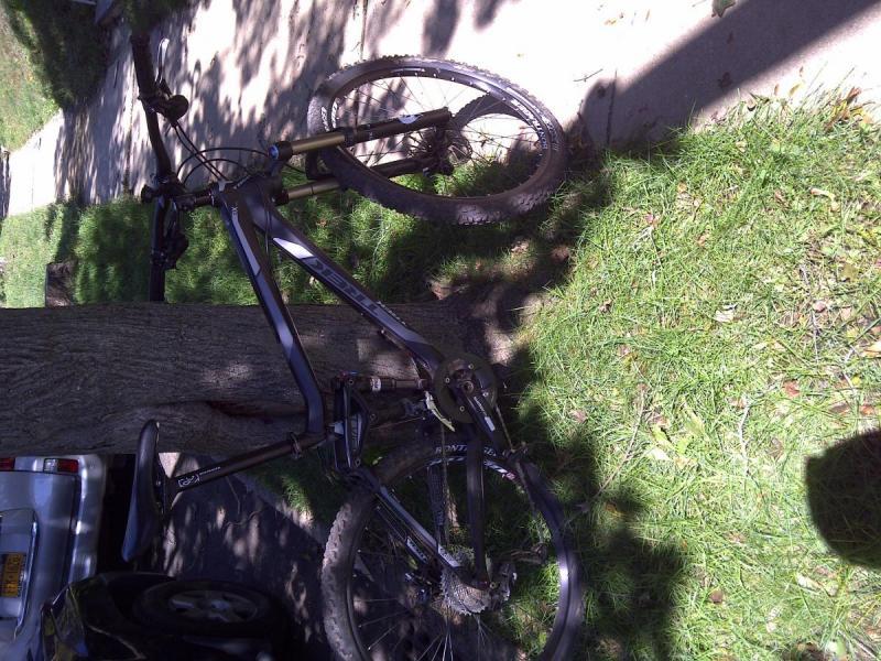 Trek Fuel EX 8: A mountain bike resting on a grassy area beside a sidewalk, partially obscured by a tree, with sunlight casting shadows on the scene.