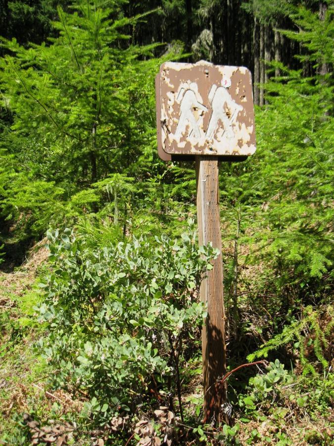 A weathered hiking sign featuring two figures with backpacks, partially obscured by green foliage and trees in a forested area. The sign is mounted on a wooden post and shows signs of wear and fading paint. Larison Rock mountain bike trail.