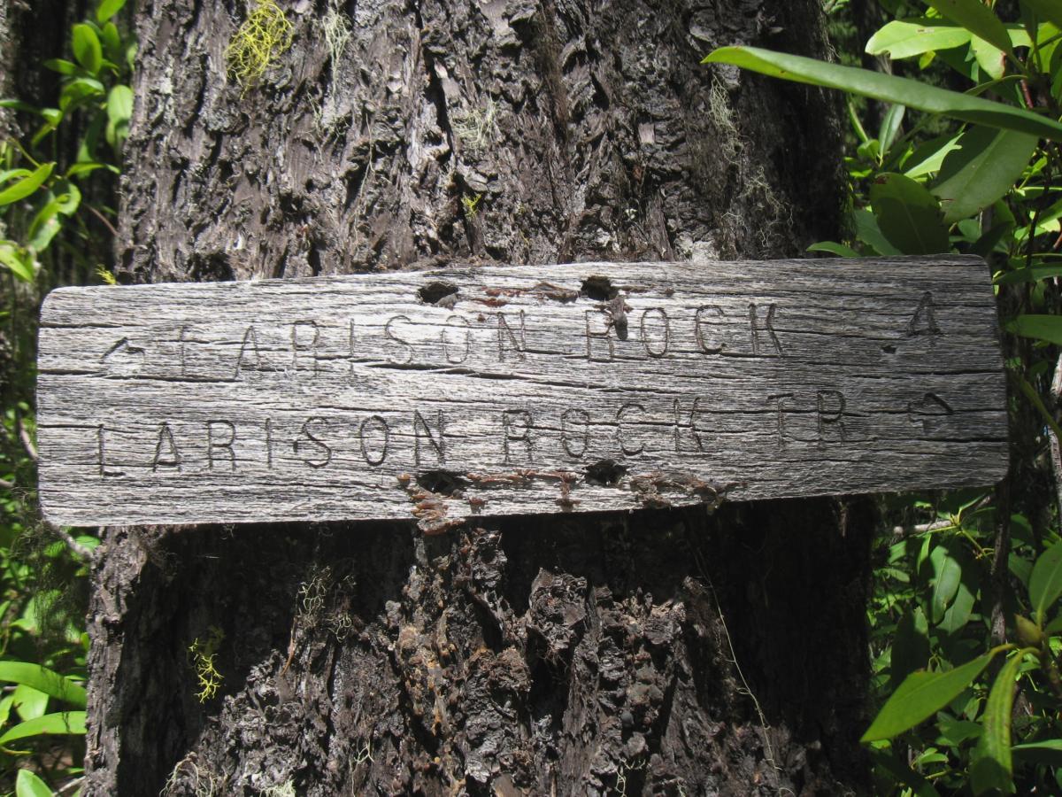 Wooden sign attached to a tree, indicating directions to "Larison Rock" and "Larison Rock Trail." The sign is weathered and displays arrow markers pointing left and right. Surrounding foliage includes green leaves and moss. Larison Rock mountain bike trail.